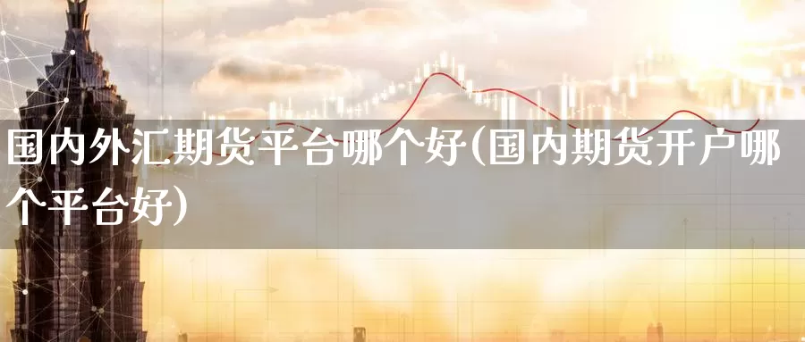 国内外汇期货平台哪个好(国内期货开户哪个平台好)_https://www.yunyingniu.com_原油期货直播间_第1张